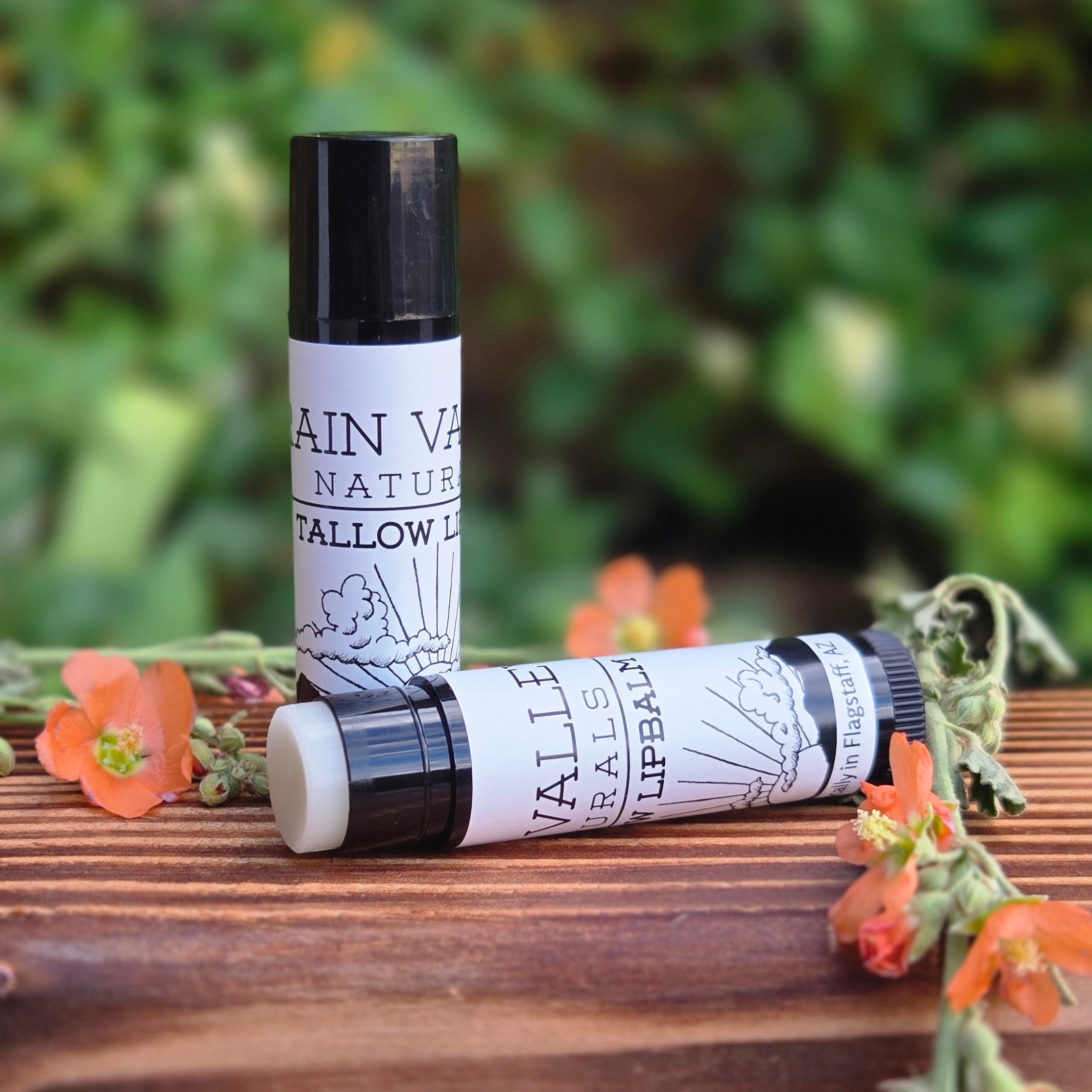 Tallow LipBalm